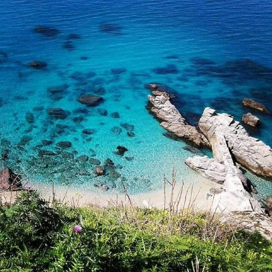 Ninfa Sul Mare Apartments 50 M E T R I Dal Mare Parcheggio Gratuito Custodito Капо-Ватикано Экстерьер фото