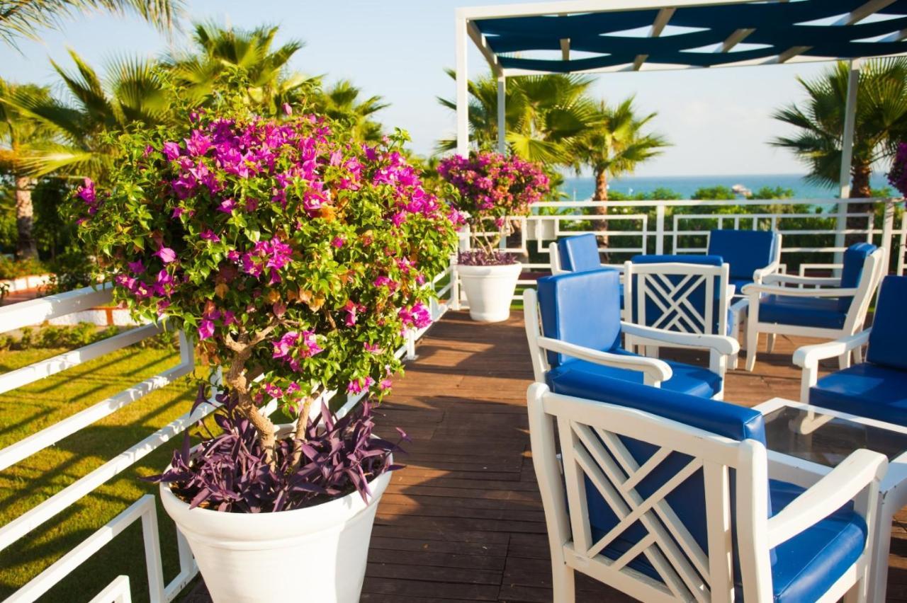 Ninfa Sul Mare Apartments 50 M E T R I Dal Mare Parcheggio Gratuito Custodito Капо-Ватикано Экстерьер фото